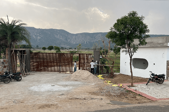 Palms & Pebbles — courtyard with tree and hills