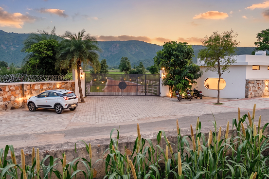 Palms & Pebbles — driveway, palm tree, and mountain backdrop