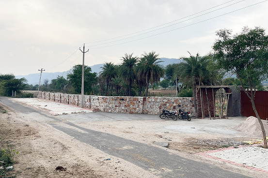 Palms & Pebbles — stone wall and palm trees at dusk