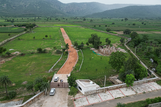 Palms & Pebbles — aerial view of driveway, gardens, and fields