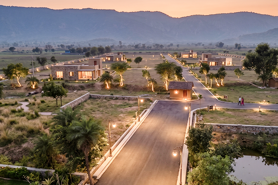 Palms & Pebbles — aerial view of road and plots at sunset