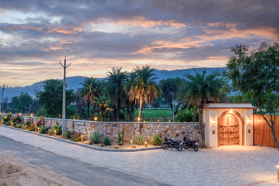 Palms & Pebbles — stone wall and palm trees at dusk